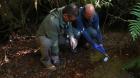 Científicos analizan ADN del agua en el Parque Alerce Andino para medir su biodiversidad