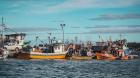 Pescadores de Chiloé califican de “insuficiente” ayuda por alza de combustibles