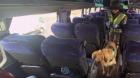 Sorprenden a pasajera con ovoides de droga en bus con destino a Santiago