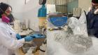 Universidad de Atacama lidera innovación que convierte relaves mineros en nuevos recursos para la industria