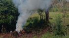 En Fresia detuvieron a hombre por quema sin autorización