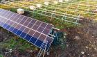 Proyecto optimiza uso de energía solar en la agricultura con inteligencia artificial