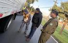 Refuerzan controles vehiculares en La Araucanía previo a feriado largo