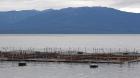 SMA notificó posicionamiento de los Centros de Engorda de Salmones en la zona sur austral