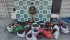 Carabineros de Arica interceptó cargamento de 1,2 toneladas de cobre oculto en camioneta