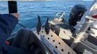 Dos pingüinos rescatados desde el borde costero del Biobío vuelven a su hábitat tras rehabilitación