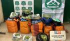 Tres detenidas y 240 kilos de hoja de coca incautados en operativo en la frontera de Arica