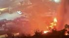 Municipio de Viña del Mar es denunciado por incendio donde murieron perros