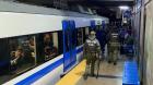 EFE cursa infracciones por evadir pago y “expresiones artísticas no autorizadas” en Viña: un detenido