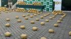 Incautan casi 400 kilos de marihuana en Hijuelas: cargamento avaluado en $4 mil millones