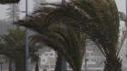 Rachas de hasta 60km/h: DMC emite aviso por viento en la Región de Valparaíso