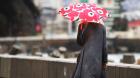Precipitaciones podrían llegar la próxima semana a la Región de Valparaíso: conoce el pronóstico del tiempo