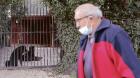 Valparaíso es la región con más ataques mortales de perros en Chile