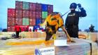 Histórico decomiso de 1.080 toneladas de madera impregnada con drogas