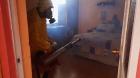 Búsqueda del mosquito Aedes aegypti deja 12 focos detectados en Antofagasta