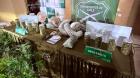 Operativo antidrogas en la Provincia de Concepción deja tres detenidos y la incautación de más de 260 plantas de cannabis