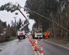 CGE refuerza su Plan Invierno en La Araucanía con inspección de 10 mil postes y atención prioritaria a electrodependientes