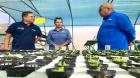 Desarrollan innovador prototipo para limpieza de cultivos hidropónicos en Tarapacá