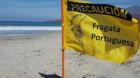 Salud prohíbe bañarse en playas de Tocopilla por presencia de fragata portuguesa
