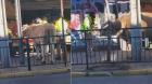 [VIDEO] Toro irrumpió en verdulería de Quilpué y obligó a realizar operativo