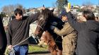 Fiscalizan al dueño de un caballo en Talcahuano tras denuncia de maltrato animal
