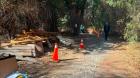 Encuentran presunto cráneo humano en sector El Peñón de Panquehue