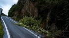 [FOTOS] Viento Puelche provoca caída de árboles, postes y corte del suministro eléctrico en la Carretera Austral