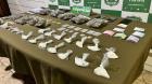 Valdivia: Nuevo operativo de Carabineros deja cinco detenidos y 3 mil dosis de droga incautada