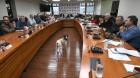 Gobierno Regional aprueba proyecto para Temuco por más de $850 millones para el control de la sobrepoblación de mascotas