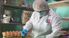 Reportan 52 personas enfermas por salmonella durante la última semana en Tarapacá