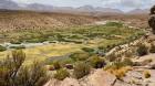 Estudio aporta evidencia científica sobre los efectos del manejo ancestral aymara en los bofedales del altiplano en Tarapacá