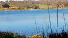 Lluvias devolvieron el agua y los cisnes a la Laguna El Peral