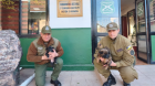 Carabineros rescató a cuatro cachorros abandonados en carretera de Curimón