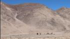 CONAF Tarapacá celebra 100 años con muestra fotográfica en Geoglifos de Pintados
