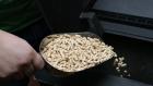 ¿Dónde comprar pellet y leña seca en Temuco?