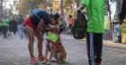 Lleva a tu regalón: preparan Corrida Familiar Canina esta sábado en La Cruz