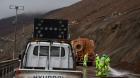Reportan siete rutas cerradas en Tarapacá por contingencia climática