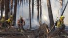 Conaf abrió casi 600 cupos laborales para la temporada de incendios en la Región de Valparaíso