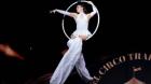 Casablanca prepara exposición que rescata la memoria del circo tradicional chileno