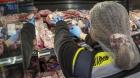 Carne en mal estado concentra causas de decomisos previo a las Fiestas Patrias en el Biobío