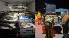 Sernapesca incauta 5,2 toneladas de cojinova y más de 14.000 machas: se cursaron infracciones