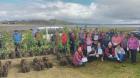 Quinchao: Renuevan huertos frutales en isla Meulín con plantaciones de nuevas especies