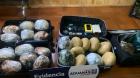 Culpable declararon a acusado de llevar 35 kilos de droga y municiones a Chaitén a bordo de una barcaza