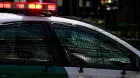 Carabinero de franco disparó y mató a un perro en Ovalle: mascota había escapado de casa