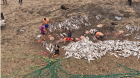 Vecinos de Cartagena alertan por vehículos y basura en Playa Chica tras jornada de pesca