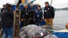 Seremi de Salud fiscaliza desembarco de mariscos en Castro ante vigilancia por marea roja