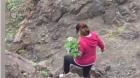 Denuncian extracción de plantas en la Reserva Nacional La Chimba de Antofagasta