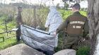 Encuentran a joven sin vida al interior del cementerio antiguo de Puyehue