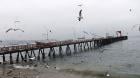 Muere mujer que cayó al mar en Caleta Portales: fue rescatada por pescadores