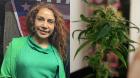 Contraloría habría calificado de “inexcusable” omisión de alcaldesa de La Cruz tras hallazgo de plantas de marihuana